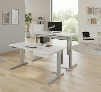 Schreibtisch XBHM 19 Ahorn/Graphit