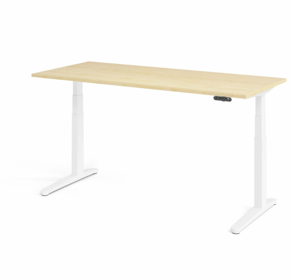 Schreibtisch XBHM 19 Ahorn/Weiß