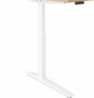 Schreibtisch XBHM 19 Buche/Graphit