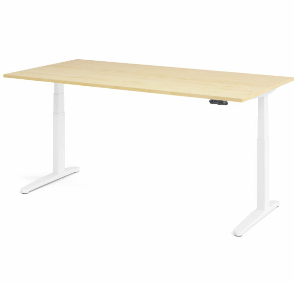 Schreibtisch XBHM 2E Ahorn/Weiß