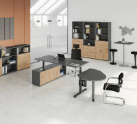 Schreibtischkombi XDSM19 mit Sideboard 1751S