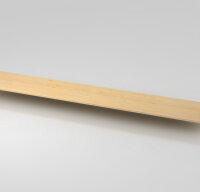 Zubehör Abdeckplatte 2AP 240.5cm