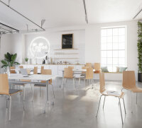 Stuhl 4-Fuss-Stuhl SBH 51cm