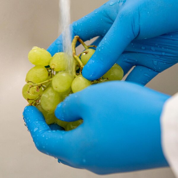 Hase N50 TOUCH Einweghandschuh Nitril, blau, 0,09 mm, 100 St.