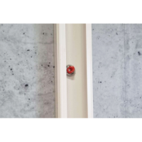 CELO Kunststoffrondell APK für Kabelkanäle, für Gasnagler