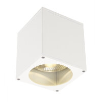 SLV BIG THEO, Outdoor Deckenleuchte