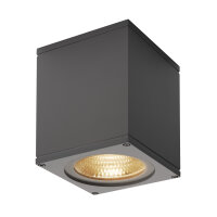 SLV BIG THEO, Outdoor Wandleuchte, Flood down, LED,...