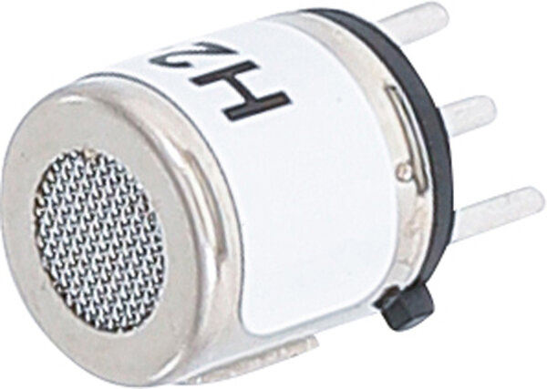 BGS Halbleiter-Gassensor