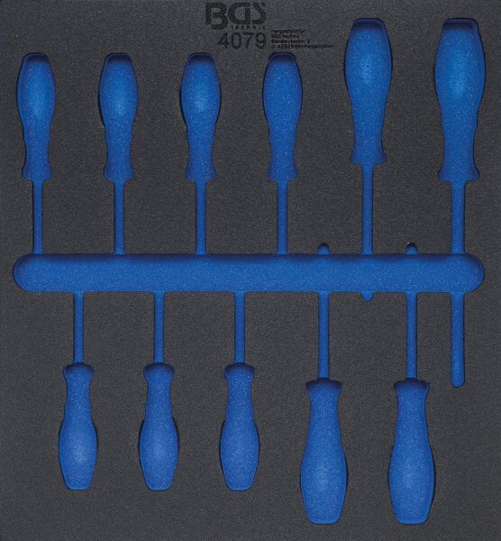 BGS Werkstattwageneinlage 2/3