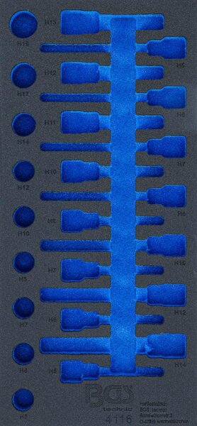 BGS Werkstattwageneinlage 1/3