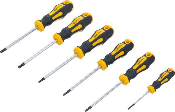 BGS Diy Schraubendreher-Satz | T-Profil (für Torx) T10 - T30 | 6-tlg.