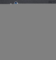 BGS Werkstattwageneinlage 2/3:...