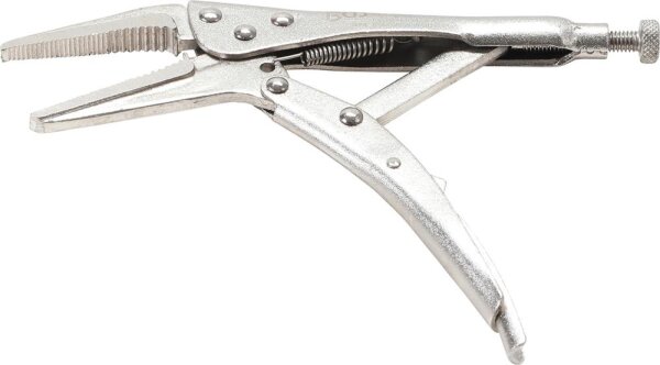 BGS Langbeck-Gripzange | 170 mm