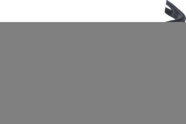 BGS Diy Nagel-Hebeleisen | 600 x 30 x 17 mm