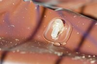 BGS Diy Bewässerungsring | 55 l