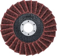 BGS Fächer-Schleif-Scheibe | Vlies | Ø 125 mm...