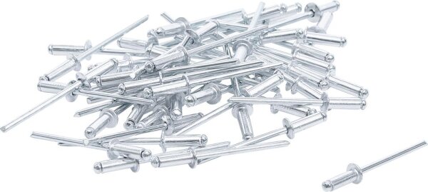 BGS Diy Blindnieten-Sortiment | Ø 3,2 mm | 50-tlg.
