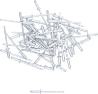 BGS Diy Blindnieten-Sortiment | Ø 3,2 mm | 50-tlg.