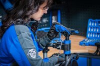BGS Schraubendreher mit T-Griff | T-Profil (für...