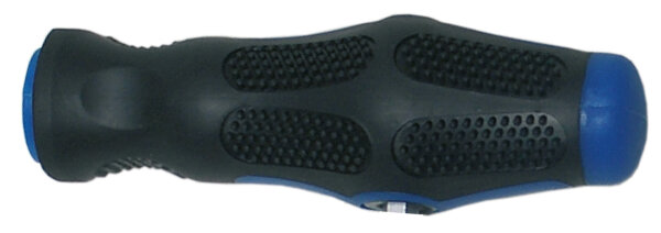 BGS Diy 2-Wege-Schraubendreher-Griff