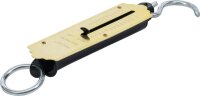 BGS Diy Taschenfederwaage | bis 25 kg