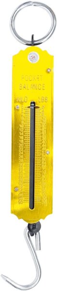 BGS Diy Taschenfederwaage | bis 50 kg