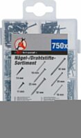 BGS Diy Nägel-/Drahtstifte-Sortiment | 750-tlg.