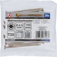 BGS Diy Mehrzweckschrauben | T-Profil (für Torx) T25...
