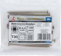 BGS Diy Mehrzweckschrauben | T-Profil (für Torx) T30 | 6,0 x 120 mm | 18 Stück
