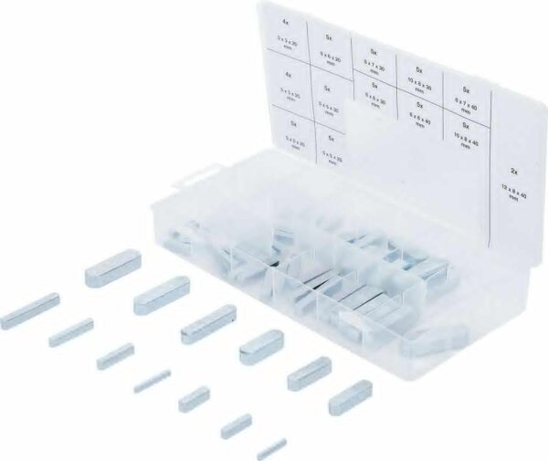 BGS Passfedern-Sortiment | 60-tlg.