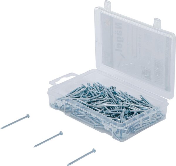 BGS Diy Nägel-Sortiment | 200 g | 1,8 x 35 mm