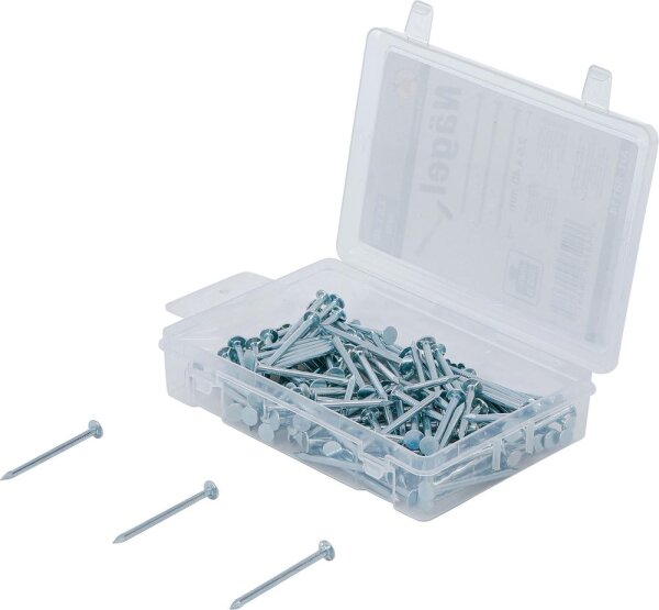 BGS Diy Nägel-Sortiment | 200 g | 2,5 x 40 mm