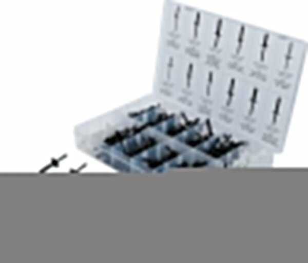 BGS Kunststoffnieten-Sortiment | für GM, BMW, Chrysler, VW, Ford | 235-tlg.