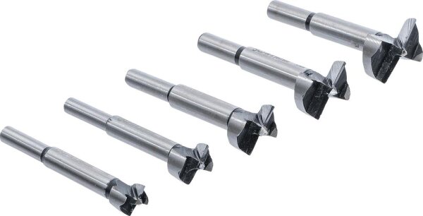 BGS Diy Forstnerbohrer-Satz | 5-tlg.