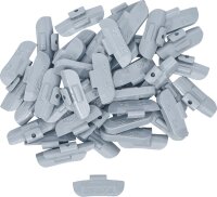 BGS Auswuchtgewichte | 25 g | 100-tlg.