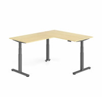Schreibtisch Sitz-Steh-Tisch VXDSM 200cm