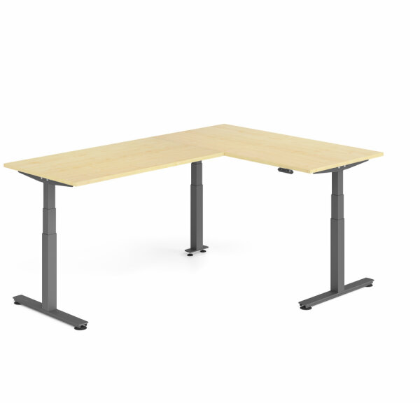 Schreibtisch Sitz-Steh-Tisch VXDSM 240cm