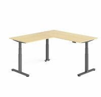 Schreibtisch Sitz-Steh-Tisch VXDSM 200cm