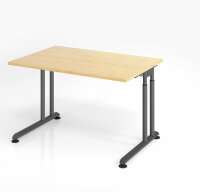Schreibtisch Tisch höheneinstellbar VZS 120cm