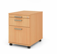 Container AC20 SG Buche