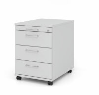 Container AC30 BS grau