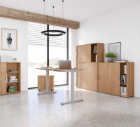 Container AC30 BMS Buche