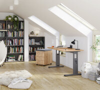 Container AC30 CE Nussbaum