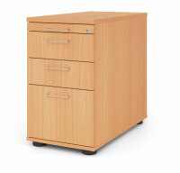 Standcontainer SC40 BS Buche