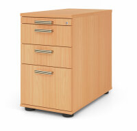 Standcontainer SC40 SG Buche