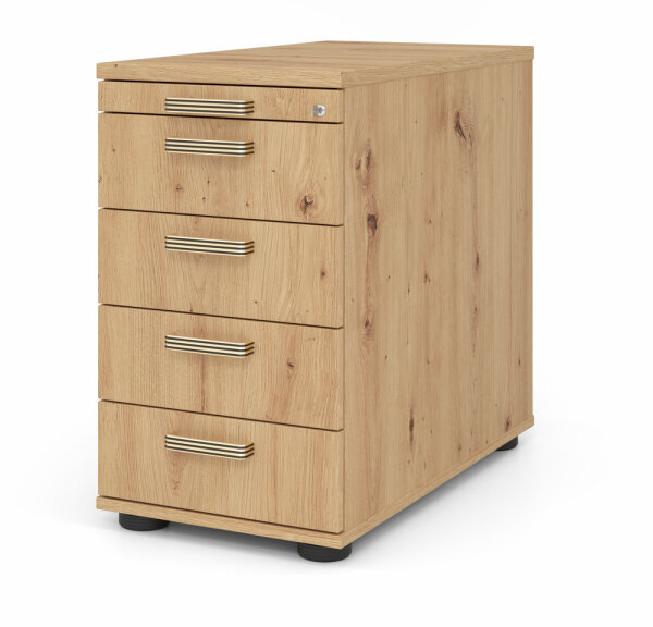 Standcontainer SC50 SG Asteiche