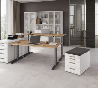 Container TC20 RE Ahorn (Reling)