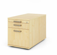 Container TC20 SG Ahorn