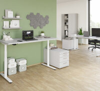 Container TC20 CE grau