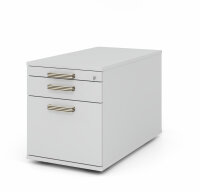 Container TC20 SG grau